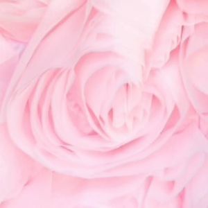 Meet your Posher, Gigi